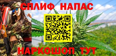 дживик Волжск