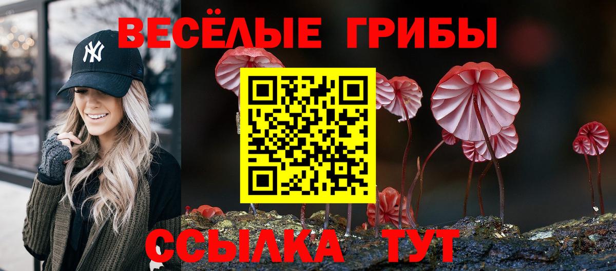 Галлюциногенные грибы MAGIC MUSHROOMS  Вход с VPN  Нарткала  Псилоцибиновые грибы мухоморы 