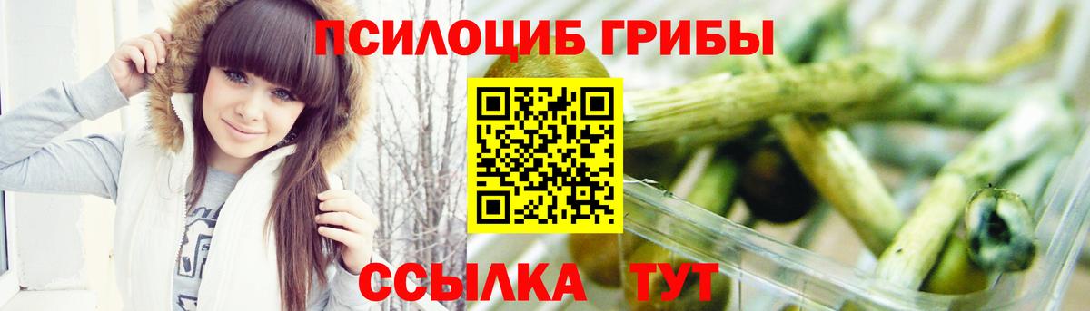 Галлюциногенные грибы GOLDEN TEACHER Нарткала